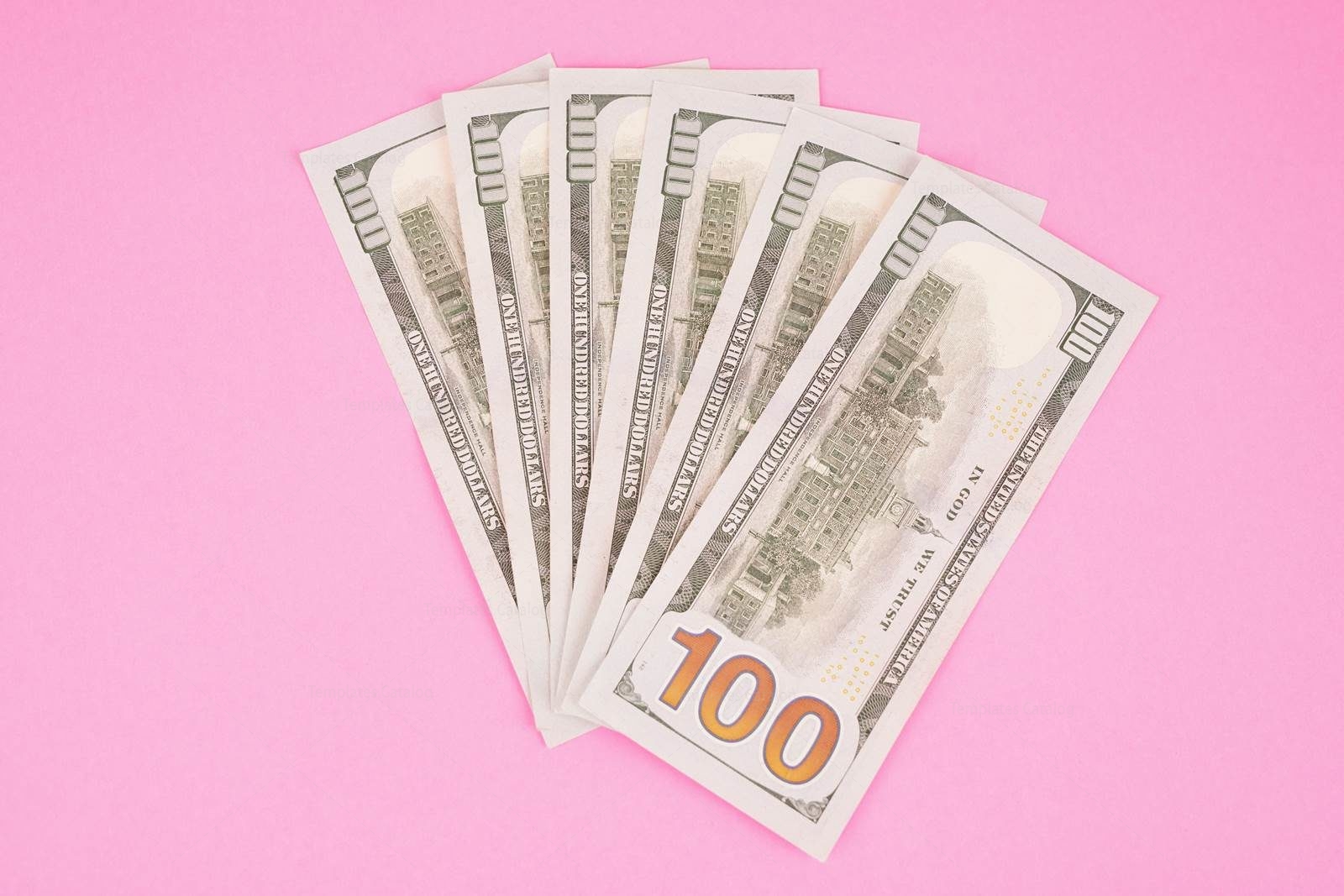 Six Hundred Dollars Isolated on Pink - Template Catalog